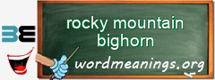 WordMeaning blackboard for rocky mountain bighorn